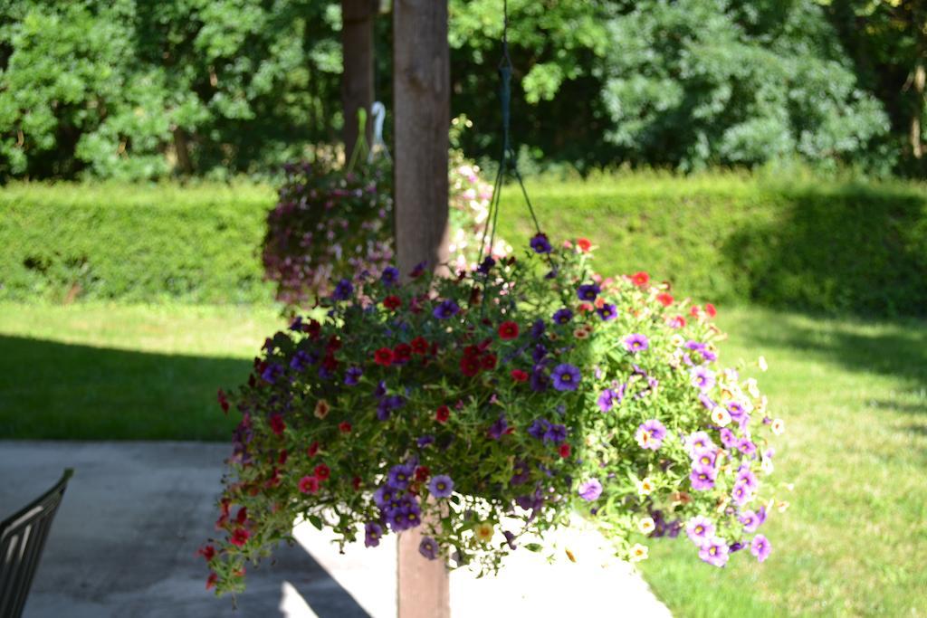 Le Moulin De Lusseau Bed and Breakfast Chef-Boutonne Exterior foto