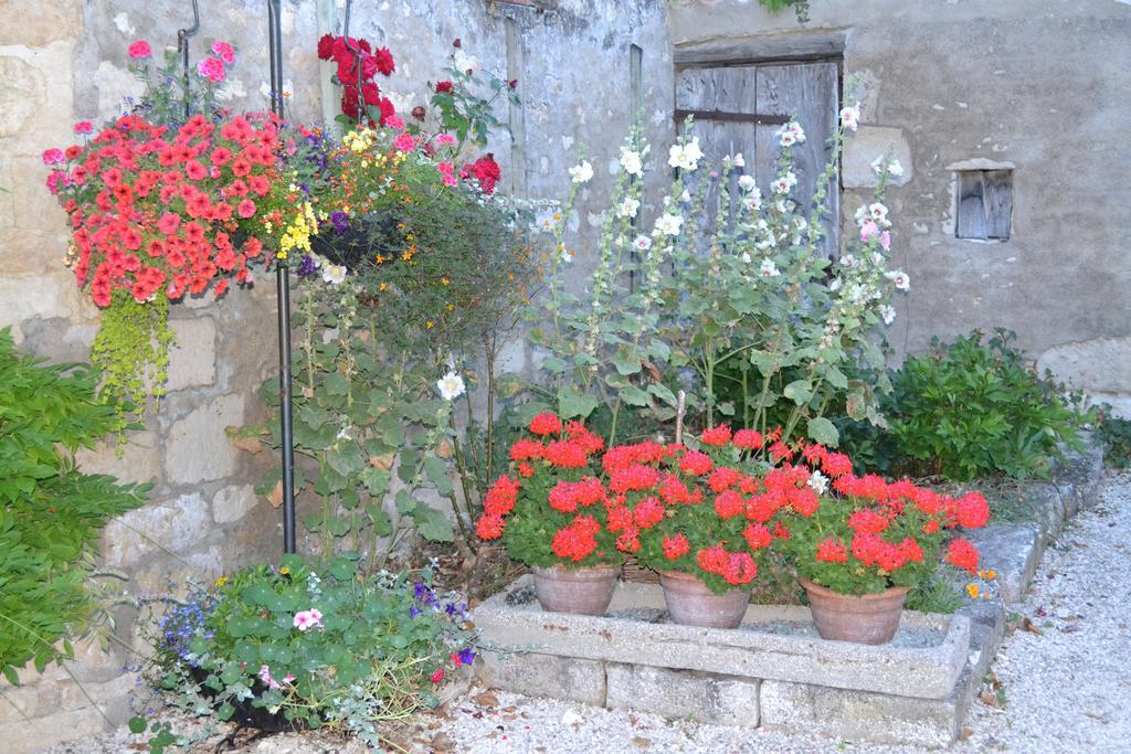 Le Moulin De Lusseau Bed and Breakfast Chef-Boutonne Exterior foto